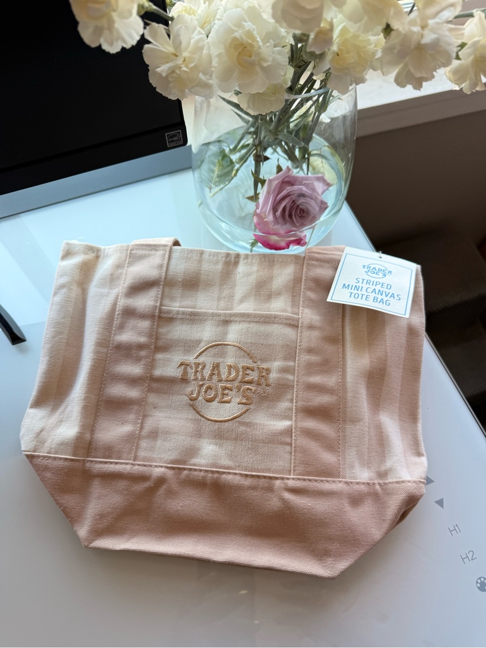 Soft tan Striped Mini Canvas Tote Bag
